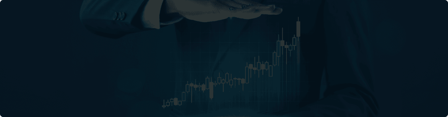 Background for vision section